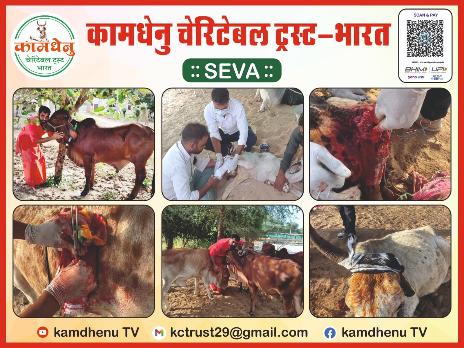 Volunteers helping community